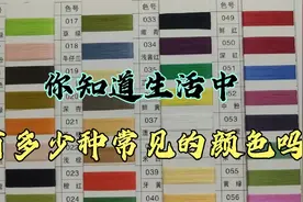 你知道生活中有多少种常见的颜色吗？一张色卡告诉你视频封面