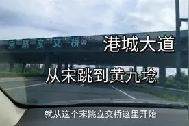 连云港港城大道从宋跳到黄九埝会经过哪里？这里咋这么多高架桥？视频封面