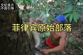 菲律宾原始部落的人靠坎树脂养活一家人，还要供女儿读高中视频封面