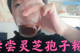 品尝灵芝孢子粉啥味道，水一冲和巧克力似的，喝起来口感还不错视频封面
