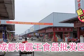 成都海霸王食品批发区，拿货回乡镇开店，希望朋友生意兴隆视频封面