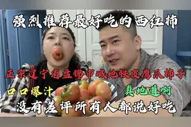 辽宁省盘锦市碱地铁皮鹰爪柿子，口口爆汁酸甜可口，小时候味道！视频封面