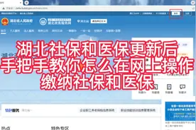 湖北社保和医保更新后，手把手教你如何在网上操作缴纳社保和医保视频封面