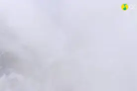 叶炫清的《九张机》来了，好听不腻图片