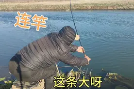 冬天野钓鲤鱼大板鲫，极端天气一般鱼口都好，零下四度继续爆护。视频封面