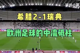 世预赛 希腊2-1瑞典 国足学着点 看看希腊的防守反击是怎么踢得视频封面