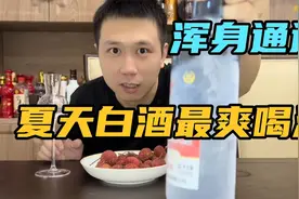 夏天白酒最爽喝法！一口下去浑身通透！好喝切勿贪杯视频封面