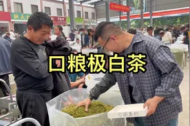 口粮“极白”上市了，它是白化绿茶天花板，没想要也会这么便宜视频封面