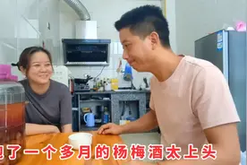 泡了一个多月的杨梅酒，老田喝了两小口，整个人都不好了，太上头视频封面