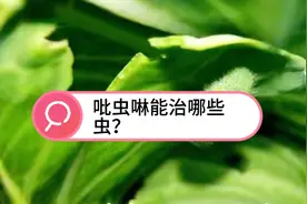 吡虫啉效果好，但用错了可没效果，那么吡虫啉能治啥虫？怎么用？视频封面