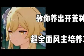 风主详细攻略，开荒的好帮手