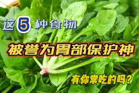 胃部喜爱的五种食物视频封面