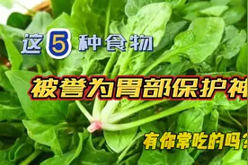 胃部喜爱的五种食物视频封面