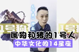 当生肖狗和猪的1号人遇见中国的星座紫微斗数会有什么结果？视频封面