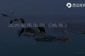 亚洲爱乐乐团《鸿雁》配丹顶鹤及众多鸟类迁涉视频 少见近距跟拍图片
