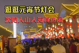 到达沈阳恰逢元宵节逛逛灯会看看热闹视频封面