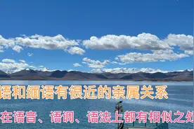 藏语和缅语有很近的亲属关系，在语音、语调、语法上都有相似之处视频封面