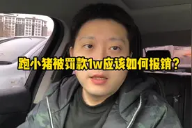刚跑花小猪一单就被抓罚款1w，应该如何找平台报销？视频封面