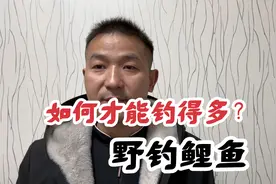 鲤鱼如何才能钓得到？多年实战总结三大野钓鲤鱼技巧，简单实用视频封面