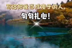 写给把我当成傻子的人，句句扎心。视频封面