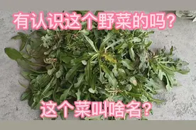 王姐解除隔离后的一天，都干了啥？忙忙碌碌真是兴奋的不得了！视频封面