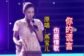 伤感情歌《你的谎言》歌声悠扬婉转伤感催泪旋律优美醉人心扉视频封面