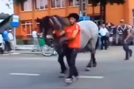 这是一条关于PG的视频视频封面