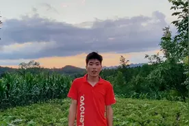 乡野小夫妻与农村张富贵下乡收菜籽 叫上表弟前来帮忙视频封面