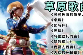 草原歌曲15首《可可托海的牧羊人》《卓玛》《套马杆》《天路》等
