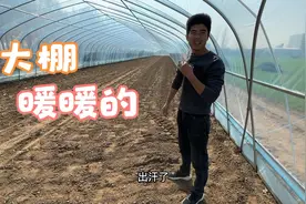 农村万元蔬菜棚完工，晌午阳光直射，小伙直冒汗，种子很快能发芽视频封面
