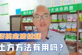 不花钱解决猪拉稀的方法很多，猪拉稀能不能一招搞定？这里有答案