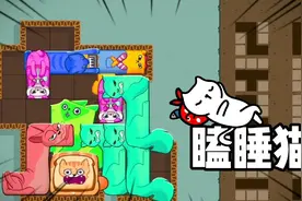 主人，主人，不要冤枉我，我上课真没睡觉！视频封面