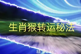 生肖猴转运秘法视频封面