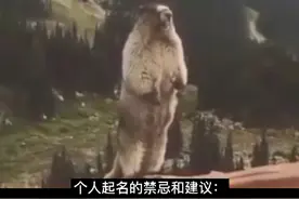 起名的禁忌与建议。何为王格，哪些生肖建议避开？！#知识科普视频封面