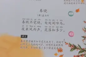亲子启蒙：3岁娃读唐诗《春晓》视频封面