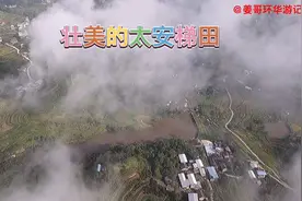 秋天，前往万州太安镇凤凰山，路过千层梯田，雄伟、壮观！视频封面