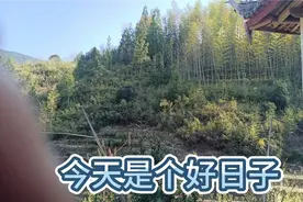 网传小田去找小三，这个消息不知道真假，世界上又诞生了一位英雄视频封面