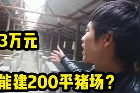 3万元修建可存栏200头的猪场是啥样，小平走进去一看，问题真不少视频封面
