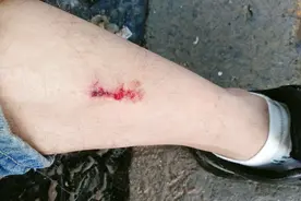 fkg老牛口气五十健胃消食片我😓就是一物降一物摸摸图兔子问我题1视频封面
