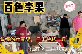 百色三月李，曾经三十块钱一斤“土豪果”，如今三块钱一斤……视频封面
