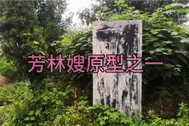 山东枣庄薛城铁道游击队中芳林嫂原型“大老殷”原来出自这个姓氏视频封面