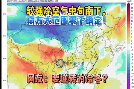 较强冷空气中旬南下，南方大范围零下确定！网友：要逆转为冷冬？视频封面