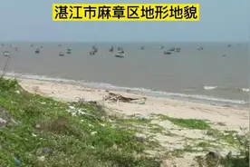 卫星图：广东湛江市麻章区地形地貌视频封面