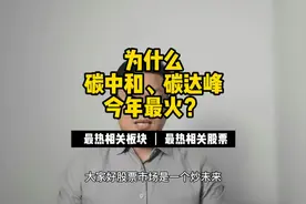 为什么碳中和、碳达峰今年最火？视频封面