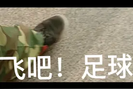 飞吧，足球视频封面