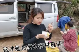 广西农村妹为了赶工摘沙糖桔，只好和妈妈在田间就餐，看看吃了啥视频封面