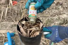 小伙拿“过期的孜然粉”熏鼠洞，老鼠狼狈不堪，下辈子不做老鼠了视频封面