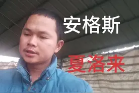 发展养牛首选的四大肉牛，我用400斤的土牛改良出来了四个品种视频封面