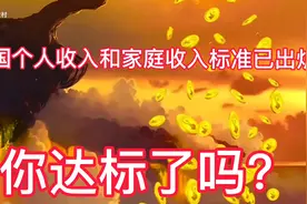 个人收入标准，家庭收入标准，你达标了吗？视频封面