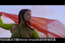 阿拉伯鼓点节奏(Nectar Drop)浓浓的异域风情视频封面